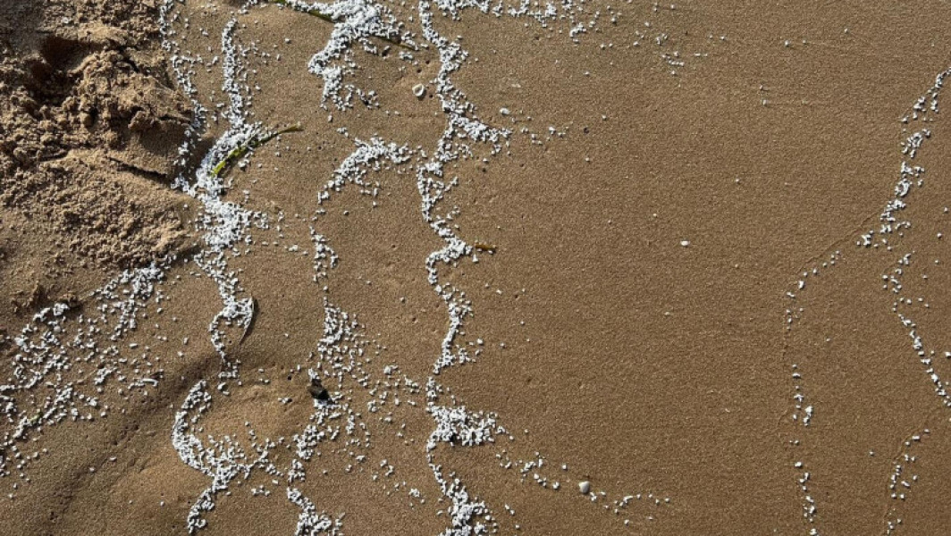 Particule albe misterioase aduse de valuri pe coasta valenciană, în sud-estul Spaniei, au dus la închiderea temporară a mai multor plaje, anunță CBS News.