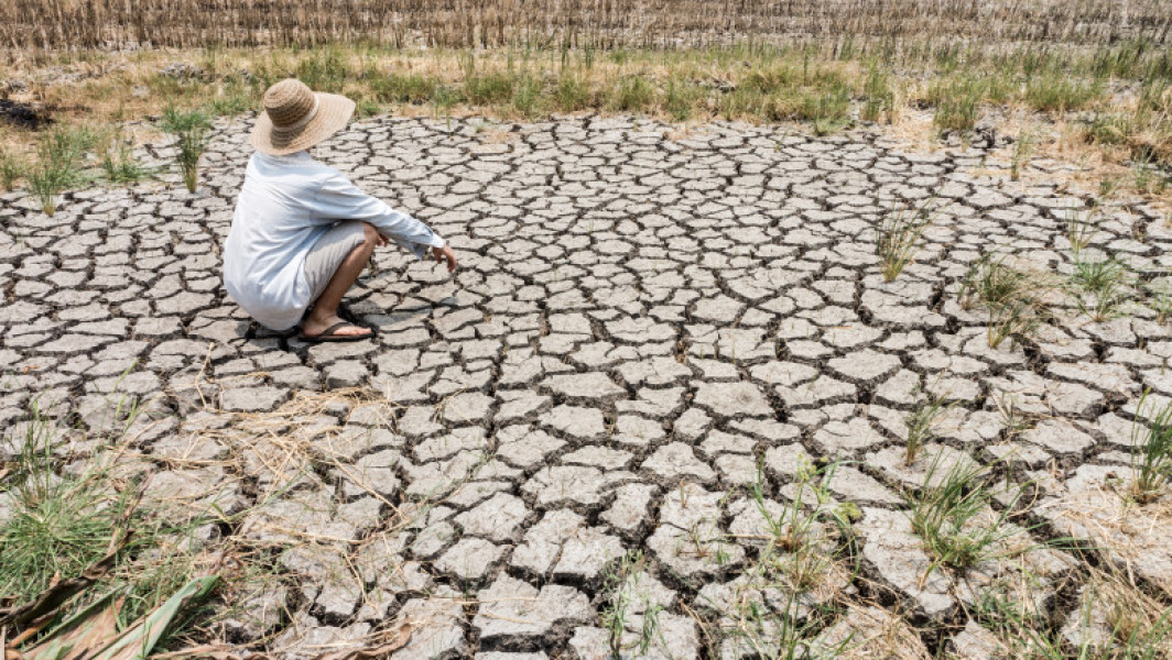 Planeta ar putea depăși limita de 1,5 grade Celsius a încălzirii globale în doar trei ani