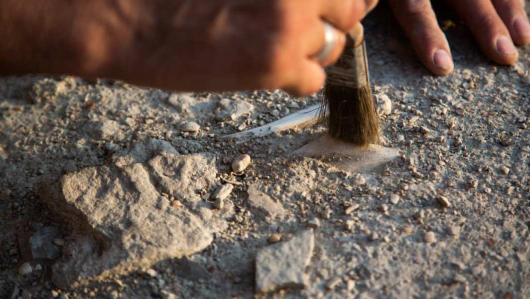 Urme umane de pasi în Parcul Național White Sands, în New Mexico, pot avea peste 23.000 de ani, conform unui nou studiu