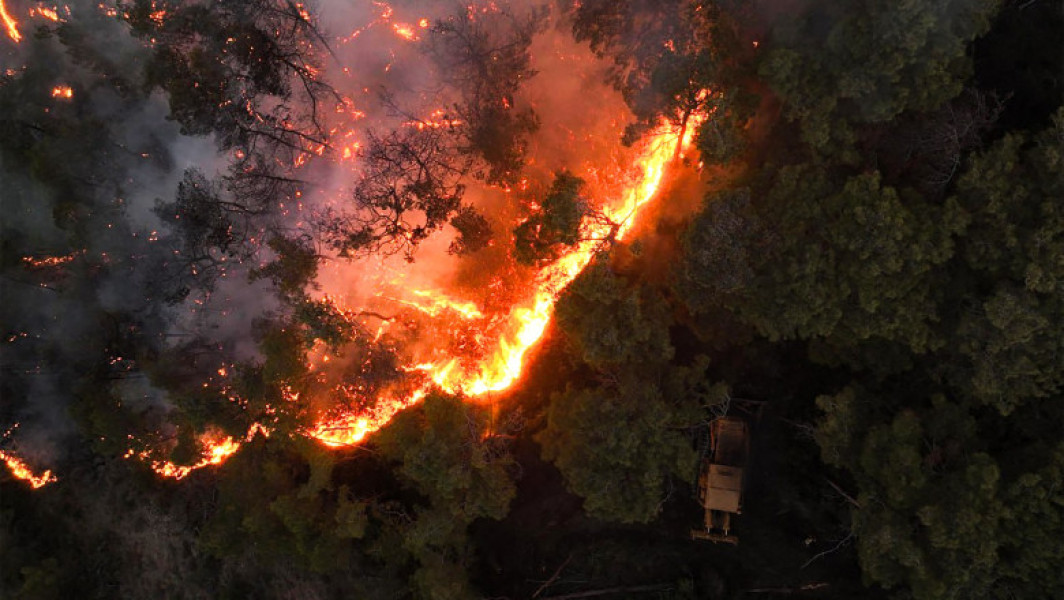 Video Incendiile devastatoare au distrus 3% din pădurile Siriei. Damascul a cerut ajutorul UE pentru a opri focarele