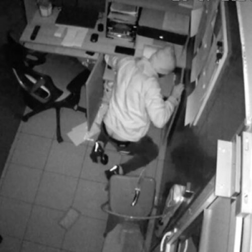 Image Description