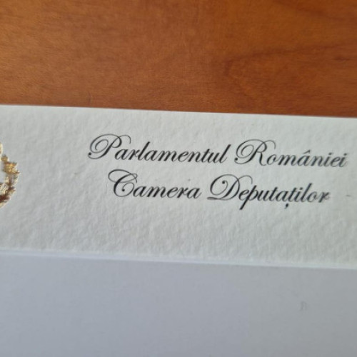 Radu Mihaiu contestă costul cărților de vizită la Parlament